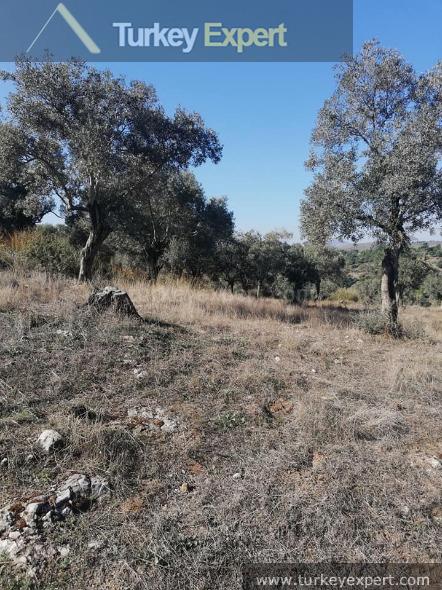 2.6 hectares agricultural land for sale in Turkey, containing 1000 ...